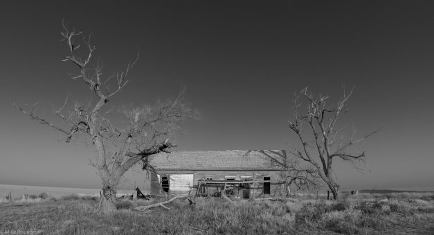 Abandoned_House_Memphis_TX_BW