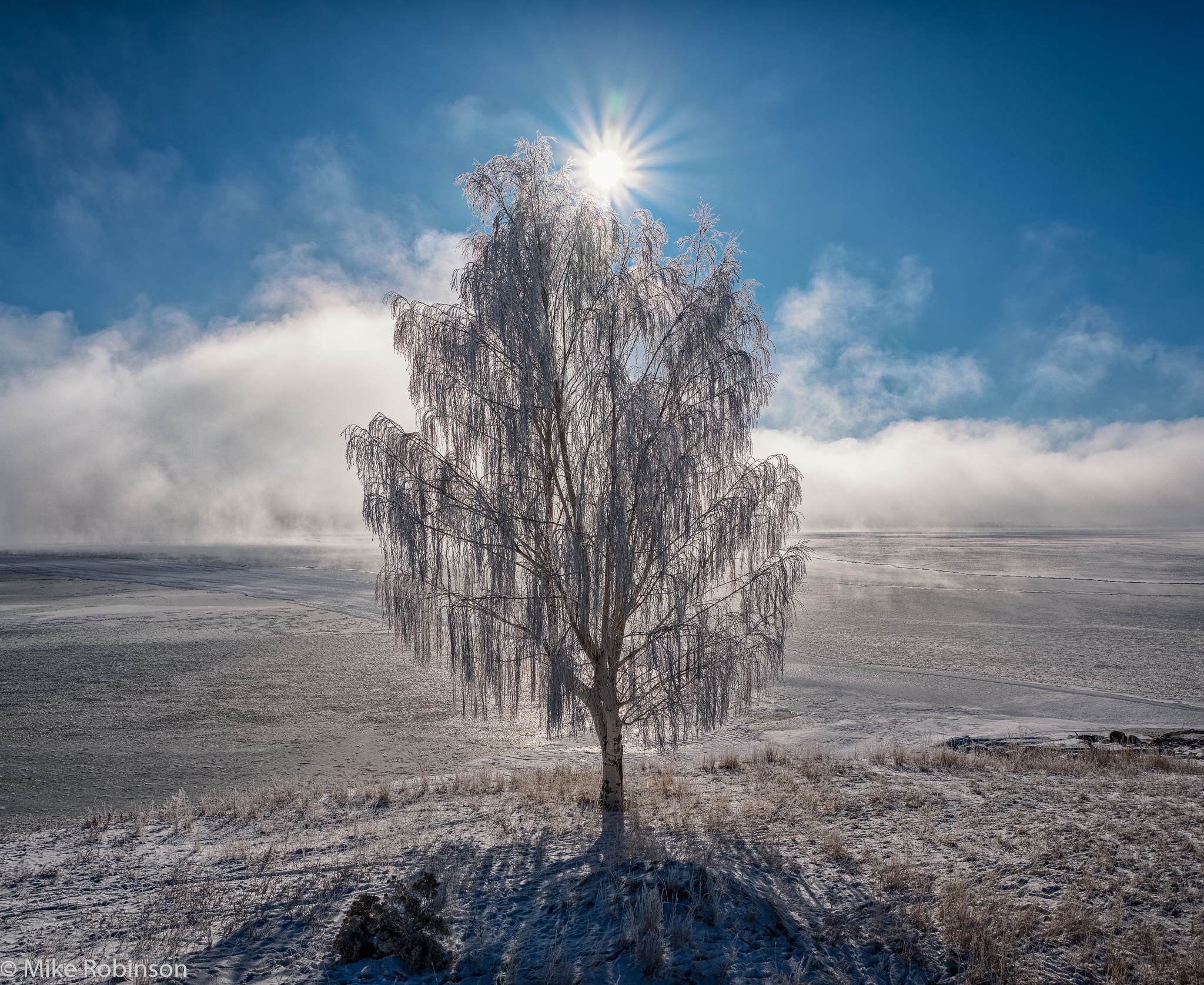 Ennis_Lake_Winter_Tree_HDR