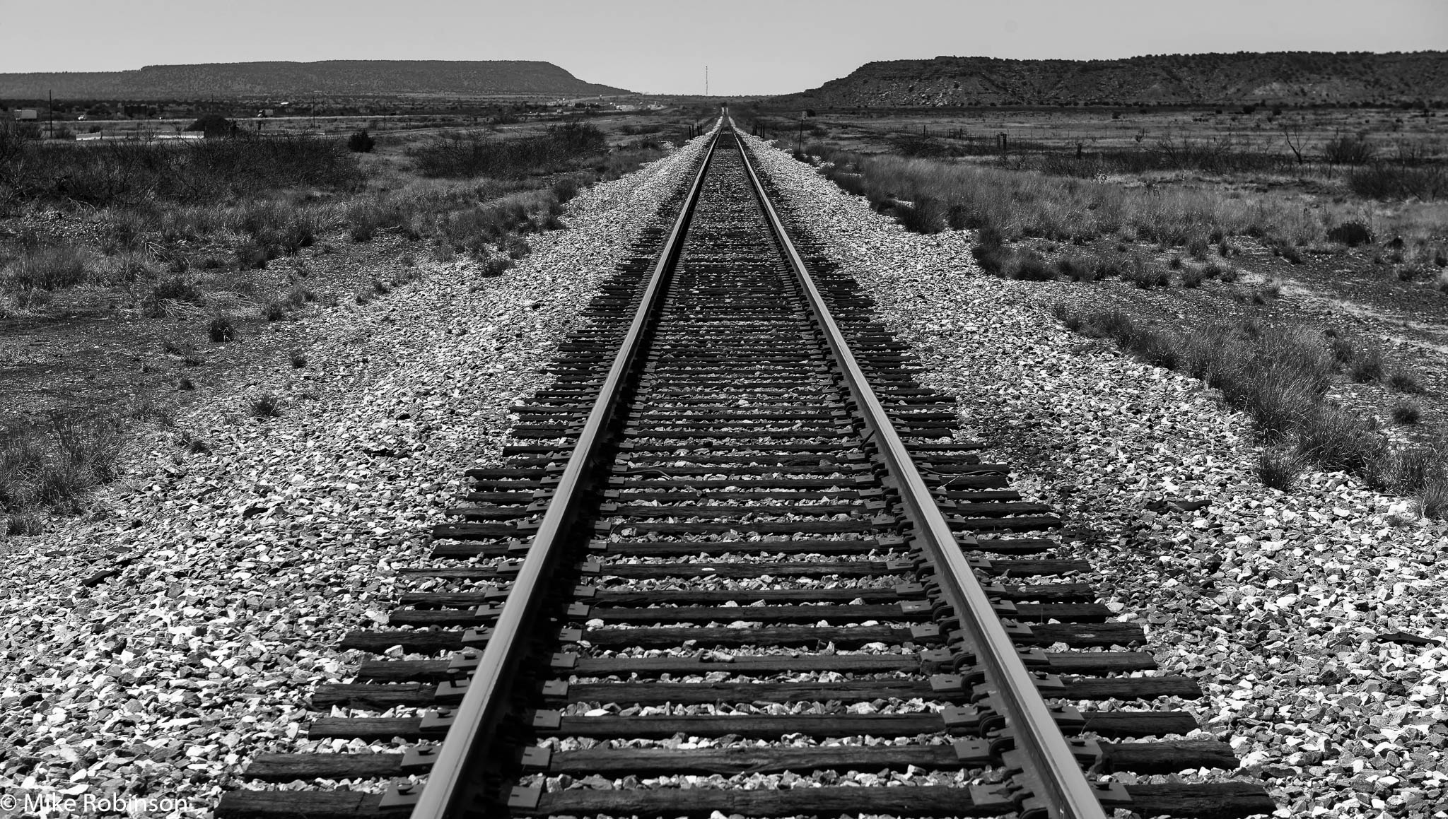 Texas Tracks.jpg