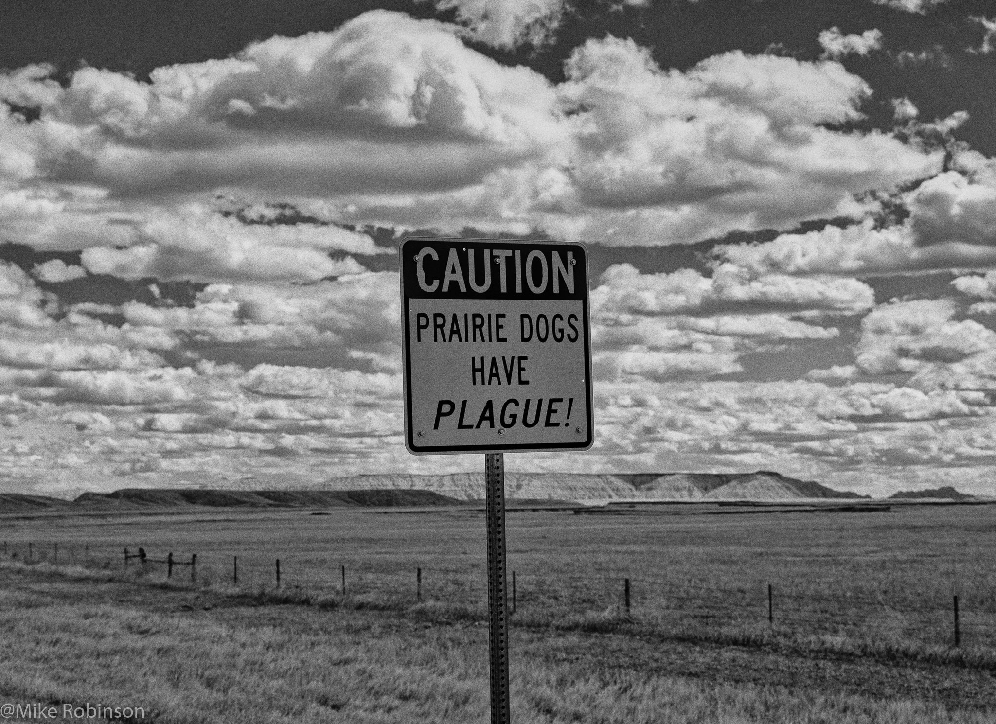 Prairie Dog Peril.jpg